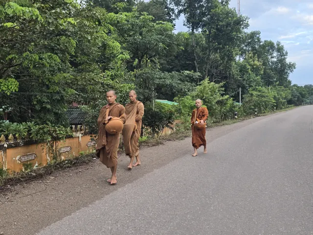 ບັນຍາກາດການບິນທະບາດທ່າມກາງຄວາມຂຽວສົດຂອງຕົ້ນໄມ້.